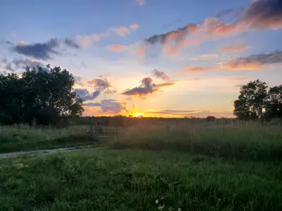 Field at sunset