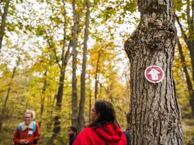 People hiking at Elbow Lake Centre