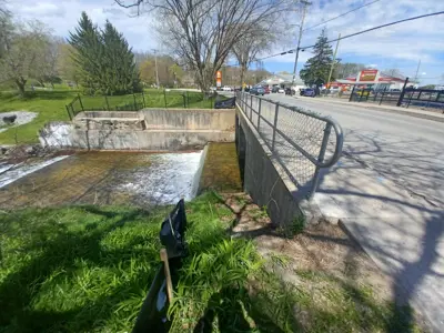 Sydenham Lake bridge and dam