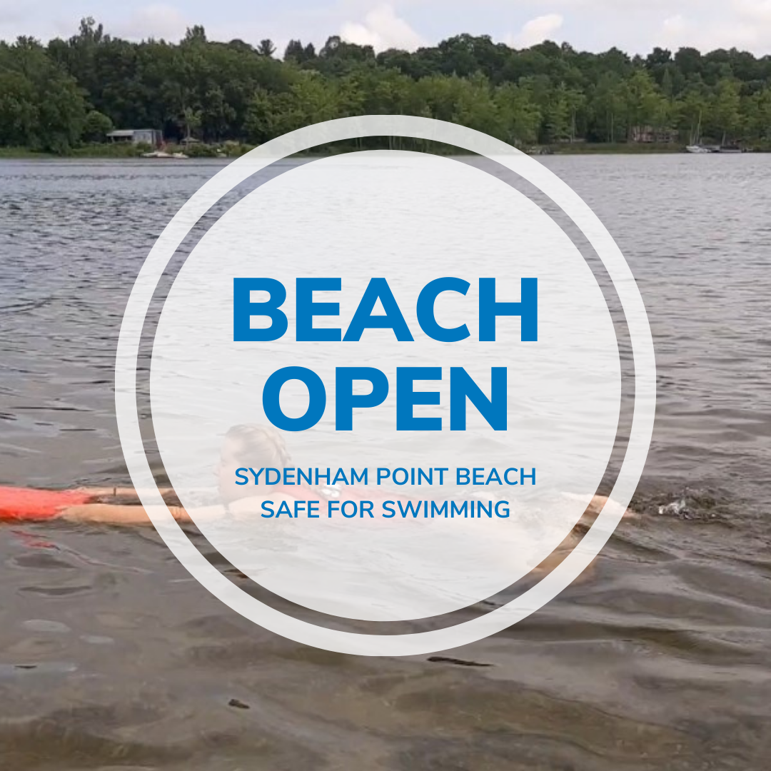 beach open with person swimming