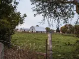 Barns in a field