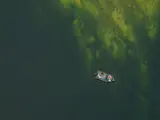 Arial shot of a boat on a lake