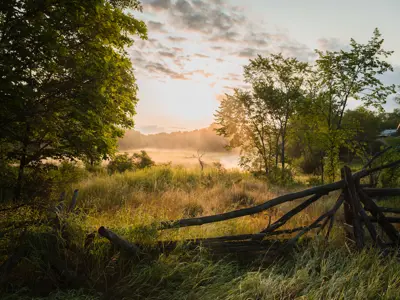 A field on a misty morning